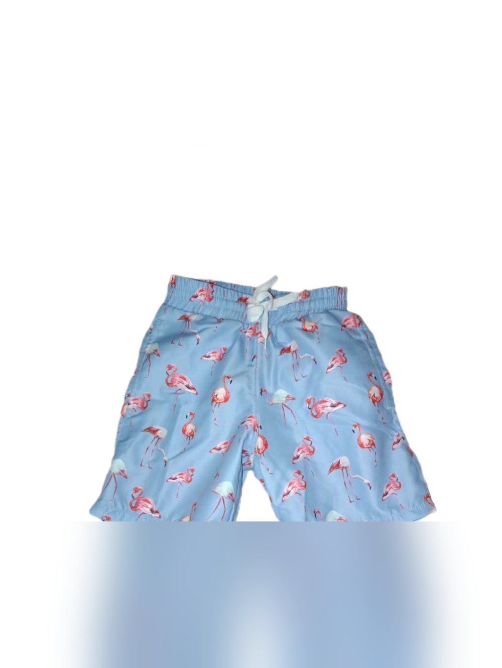Qzunique Toddler Boy Light Blue Swim Trunks with Pink Flamingo Pattern (NWT)